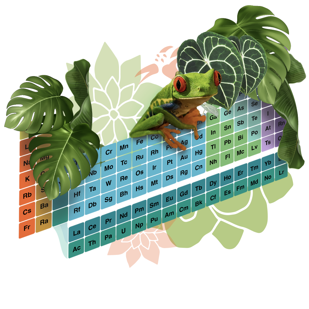 A tree frog surrounded by plants sits on top of the periodic table in this creative illustration