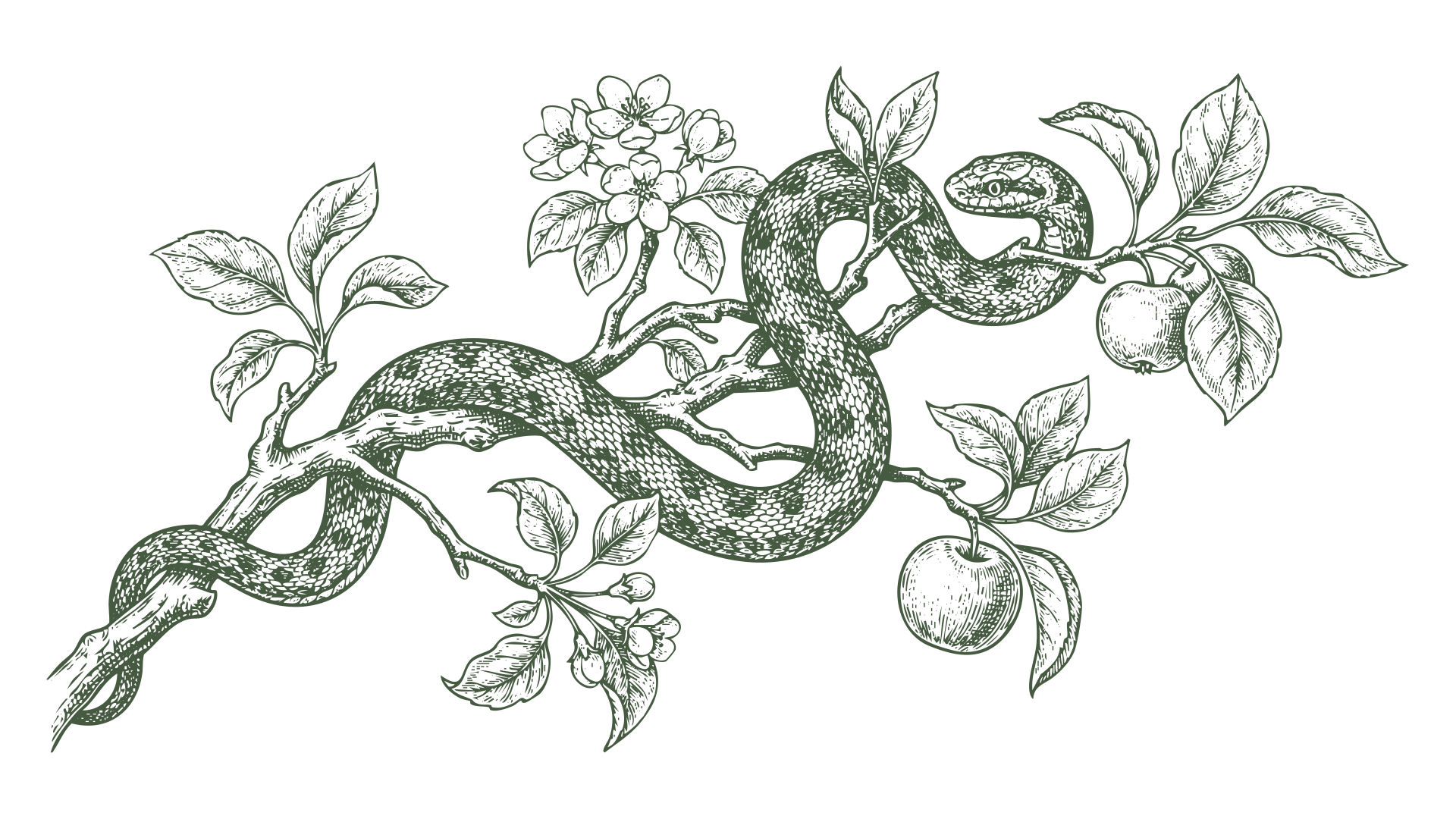 Snake wrapped around a fruit branch